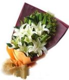 涉县鲜花速递